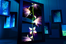 夢想館的「多樣」廳設置直立式立體裸眼顯示器展現花朵的生長歷程。Photo credit：2010臺北國際花卉博覽會